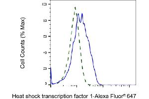 Validation of Heat shock transcription factor 1 knockdown using flow cytometry. (Recombinant HSF1 antibody)