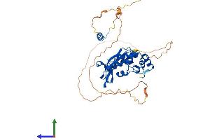Protein Structure (PS) image for Interferon Stimulated Exonuclease Gene 20kDa-Like 2 (ISG20L2) (AA 1-368) protein (His tag) (ABIN7557125)