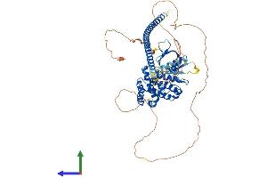 Protein Structure (PS) image for rho GTPase Activating Protein 25 (ARHGAP25) (AA 1-648) protein (His tag) (ABIN7559024)