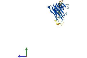 Protein Structure (PS) image for CD70 Molecule (CD70) (AA 1-193) protein (His tag) (ABIN7553265)