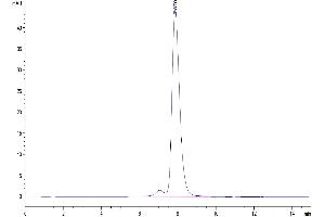 Size-exclusion chromatography-High Pressure Liquid Chromatography (SEC-HPLC) image for CD83 (CD83) (AA 22-134) protein (Fc Tag) (ABIN7274261)