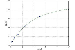 Aldehyde Dehydrogenase 4 Family, Member A1 (ALDH4A1) ELISA Kit