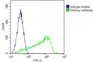 Flow Cytometry (FACS) image for anti-Platelet/endothelial Cell Adhesion Molecule (PECAM1) (AA 508-536), (C-Term) antibody (ABIN654882)