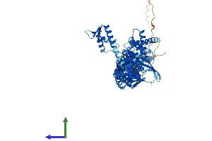 AlphaFold protein structure predicition of Mouse Recombinant Cul4a Protein, UniprotID Q3TCH7