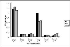 Image no. 1 for Mouse anti-Camel IgG1 (Heavy & Light Chain) antibody (ABIN1981267)