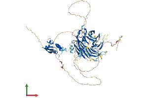 AlphaFold protein structure predicition of Mouse Recombinant Kctd3 Protein, UniprotID Q8BFX3 (KCTD3 Protein (AA 1-815) (His tag))