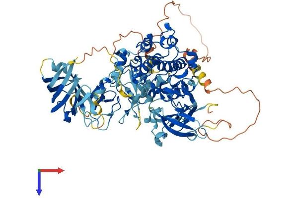 PKC epsilon Protein (AA 1-737) (His tag)