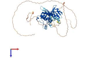 Protein Structure (PS) image for serine/threonine Kinase 33 (STK33) (AA 1-514) protein (His tag) (ABIN7544023)