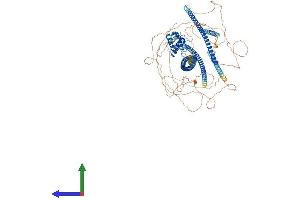 AlphaFold protein structure predicition of Human Recombinant SPECC1L Protein, UniprotID Q69YQ0 (SPECC1L Protein (AA 1-1117) (His tag))