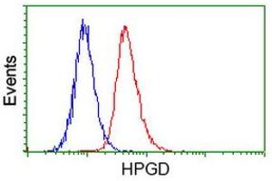 Flow Cytometry (FACS) image for anti-Hydroxyprostaglandin Dehydrogenase 15-(NAD) (HPGD) antibody (ABIN1496361) (HPGD antibody)