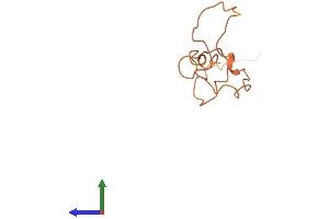 AlphaFold protein structure predicition of Mouse Recombinant Krtap19-1 Protein, UniprotID Q925H2 (Keratin Associated Protein 19-1 (KRTAP19-1) (AA 1-87) protein (Fc Tag))
