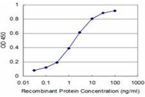 Detection limit for recombinant GST tagged ARHGEF11 is approximately 0. (ARHGEF11 antibody  (AA 651-750))