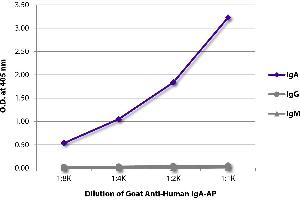 ELISA plate was coated with purified human IgA, IgG, and IgM. (Goat anti-Human IgA (Heavy Chain) Antibody)