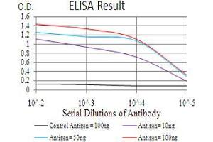 Black line: Control Antigen (100 ng), Purple line: Antigen(10 ng), Blue line: Antigen (50 ng), Red line: Antigen (100 ng), (HDAC2 antibody  (AA 217-327))