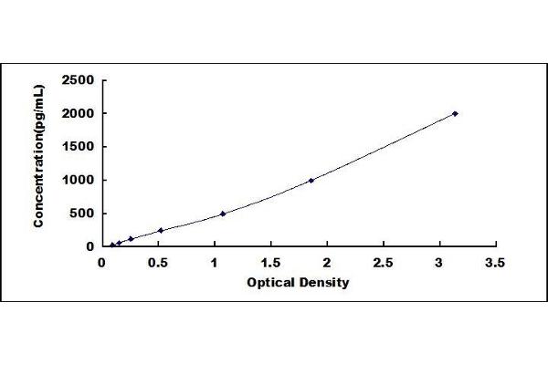 FCGR3A ELISA Kit