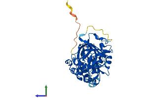 AlphaFold protein structure predicition of Mouse Recombinant Sphk1 Protein, UniprotID Q8CI15 (SPHK1 Protein (AA 1-382) (His tag))