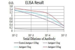 Black line: Control Antigen (100 ng),Purple line: Antigen (10 ng), Blue line: Antigen (50 ng), Red line:Antigen (100 ng) (ADIPOQ antibody  (AA 16-154))