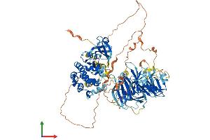 AlphaFold protein structure predicition of Human Recombinant MAP4K5 Protein, UniprotID Q9Y4K4 (MAP4K5 Protein (AA 1-846) (His tag))