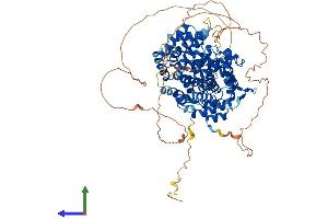 AlphaFold protein structure predicition of Mouse Recombinant Ccnf Protein, UniprotID P51944