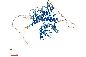 AlphaFold protein structure predicition of Human Recombinant MICU1 Protein, UniprotID Q9BPX6 (MICU1 Protein (AA 1-476) (His tag))