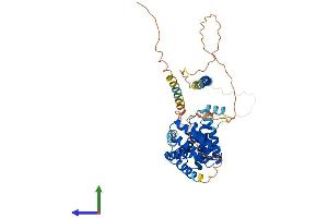 Protein Structure (PS) image for Family with Sequence Similarity 82, Member A2 (FAM82A2) (AA 1-470) protein (His tag) (ABIN7551504)