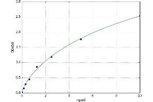 Granzyme A (Granzyme 1, Cytotoxic T-Lymphocyte-Associated serine Esterase 3) (GZMA) ELISA Kit