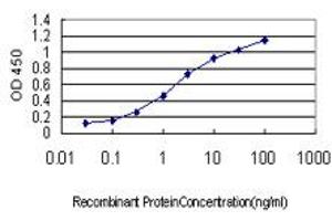 Detection limit for recombinant GST tagged C6orf139 is approximately 0. (CENPQ antibody  (AA 1-268))