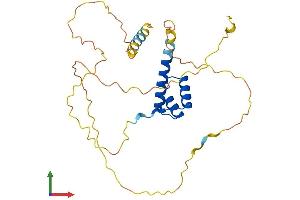 Protein Structure (PS) image for Paired-Like Homeobox 2a (PHOX2A) (AA 1-284) protein (His tag) (ABIN7550755)