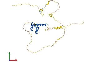 Protein Structure (PS) image for BARX Homeobox 1 (BARX1) (AA 1-254) protein (His tag) (ABIN7561418)