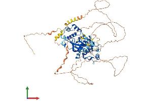 AlphaFold protein structure predicition of Human Recombinant HUNK Protein, UniprotID P57058 (HUNK Protein (AA 1-714) (His tag))