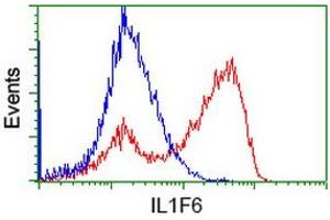 HEK293T cells transfected with either RC219328 overexpress plasmid (Red) or empty vector control plasmid (Blue) were immunostained by anti-IL1F6 antibody (ABIN2453185), and then analyzed by flow cytometry. (IL36A/IL1F6 antibody)