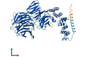 Protein Structure (PS) image for Intraflagellar Transport 80 Homolog (IFT80) (AA 1-777) protein (His tag) (ABIN7559421)