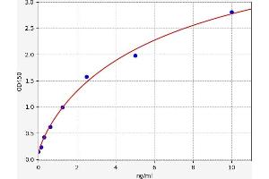 Typical standard curve (ATG7 ELISA Kit)
