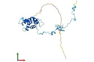 Protein Structure (PS) image for Tubulin Polymerization Promoting Protein (Tppp) (AA 1-219) protein (His tag) (ABIN7544620)
