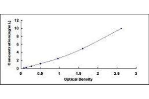 Peptidylprolyl Isomerase A (Cyclophilin A) (PPIA) ELISA Kit