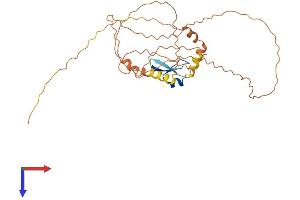 CPXCR1 Protein (AA 1-301) (His tag)