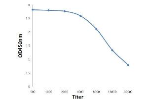 Antigen: 0. (ABCC4 antibody  (AA 751-880))
