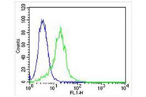 Overlay histogram showing Hela cells stained with Antibody (green line). (Lipoprotein Lipase antibody  (AA 300-327))
