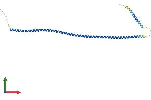 AlphaFold protein structure predicition of Human Recombinant CCDC152 Protein, UniprotID Q4G0S7 (CCDC152 Protein (AA 1-254) (His tag))