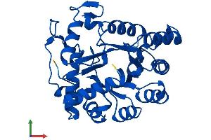 Protein Structure (PS) image for TatD DNase Domain Containing 1 (TATDN1) (AA 1-297) protein (His tag) (ABIN7544163)