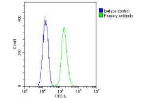 Overlay histogram showing C2C12 cells stained with (ABIN6242190 and ABIN6578880)(green line). (TUBG2 antibody  (AA 400-434))