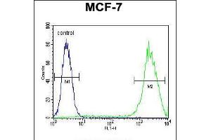 Flow cytometric analysis of MCF-7 cells (right histogram) compared to a negative control cell (left histogram). (Galectin 3 antibody  (C-Term))