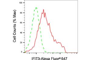 anti-Interferon-Induced Protein with Tetratricopeptide Repeats 3 (IFIT3) antibody