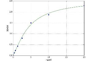 Solute Carrier Family 16, Member 1 (Monocarboxylic Acid Transporter 1) (SLC16A1) ELISA Kit