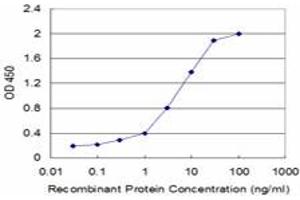 Detection limit for recombinant GST tagged FLT3LG is approximately 0. (FLT3LG antibody  (AA 27-136))