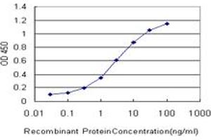 ELISA image for anti-CAMP Responsive Element Binding Protein 3 (CREB3) (AA 273-372) antibody (ABIN599141) (CREB3 antibody  (AA 273-372))