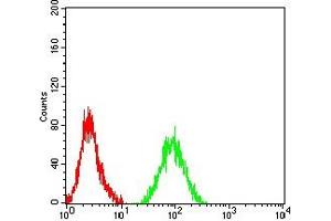 Flow cytometric analysis of HL-60 cells using CD124 mouse mAb (green) and negative control (red). (IL4 Receptor antibody  (AA 26-232))