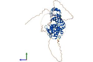 AlphaFold protein structure predicition of Mouse Recombinant Dyrk2 Protein, UniprotID Q5U4C9