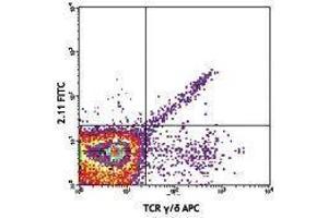 Flow Cytometry (FACS) image for anti-TCR V Gamma1.1/Cr4 antibody (ABIN2665406) (TCR V Gamma1.1/Cr4 antibody)