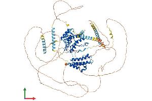 Protein Structure (PS) image for Bromodomain, Testis-Specific (BRDT) (AA 1-947) protein (His tag) (ABIN7552707)